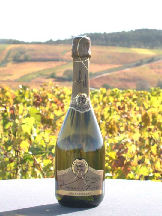 Cuvée Prestige – Image 7