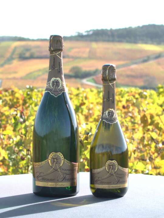 Cuvée Prestige – Image 4