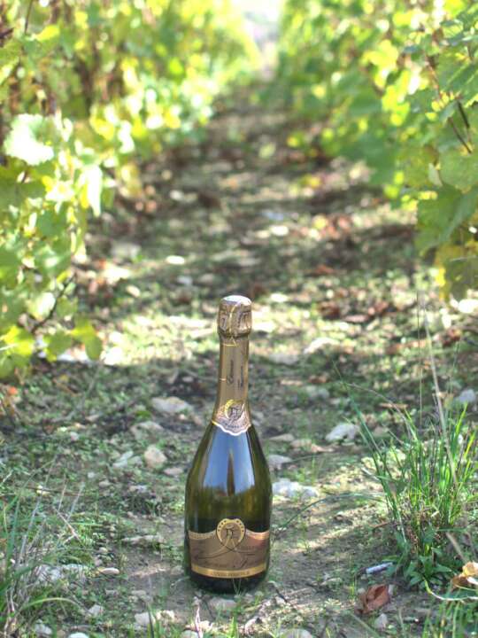 Cuvée Prestige – Image 6