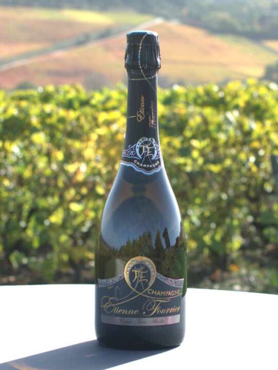 Cuvée Noir Absolu – Image 4