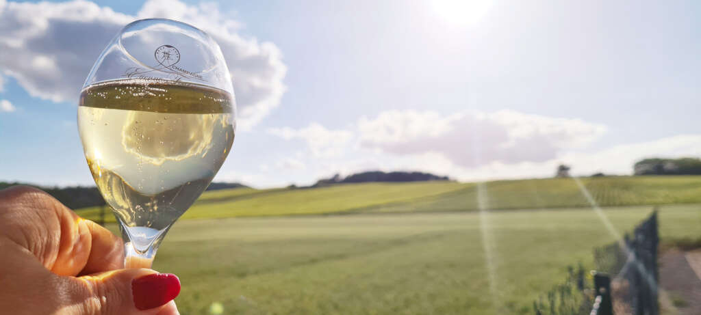 Champagne Etienne Fourrier flûte devant les vignes