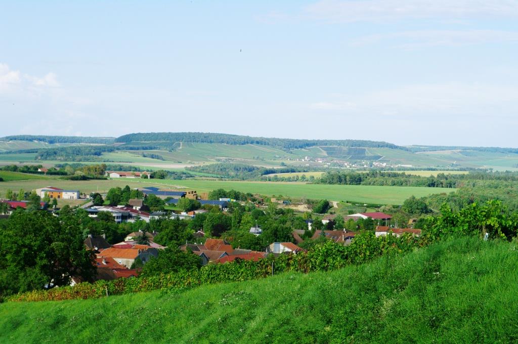 Champagne Etienne Fourrier Baroville vue des vignes