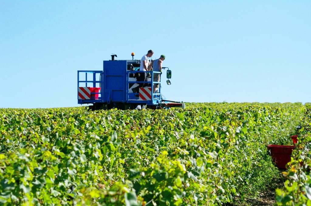 Champagne Etienne Fourrier débardage