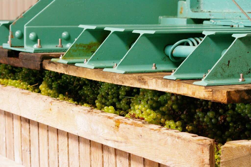 Champagne Etienne Fourrier chardonnay dans le pressoir traditionnel
