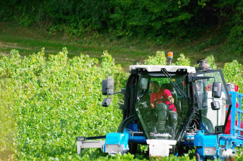 Champagne Etienne Fourrier Sébastien