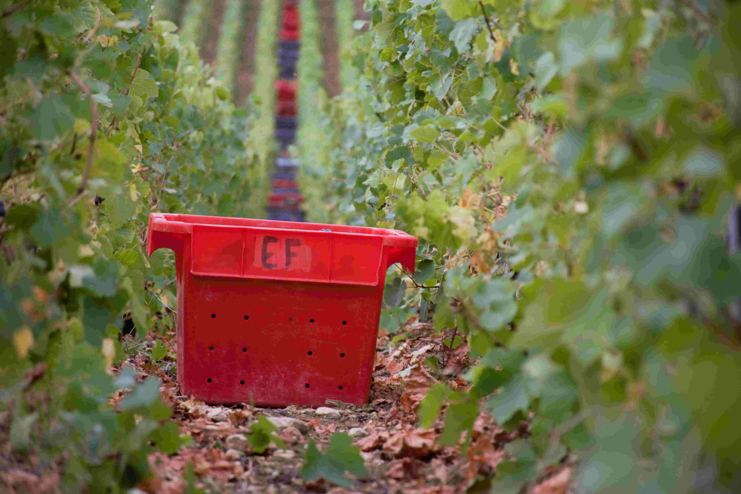 Champagne Etienne Fourrier caisse vendanges