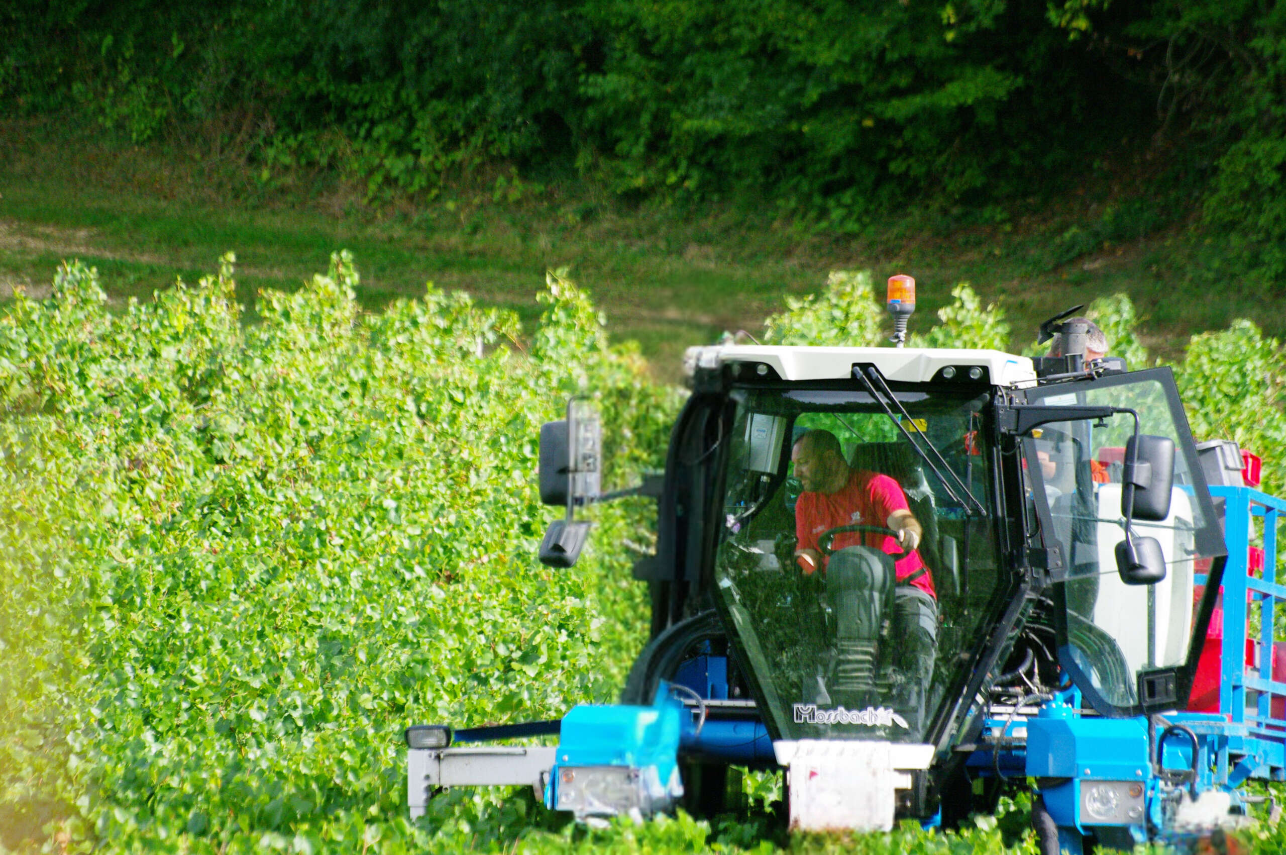 e4b7b7ef-d785-4a97-96a0-8e53eab4cd47